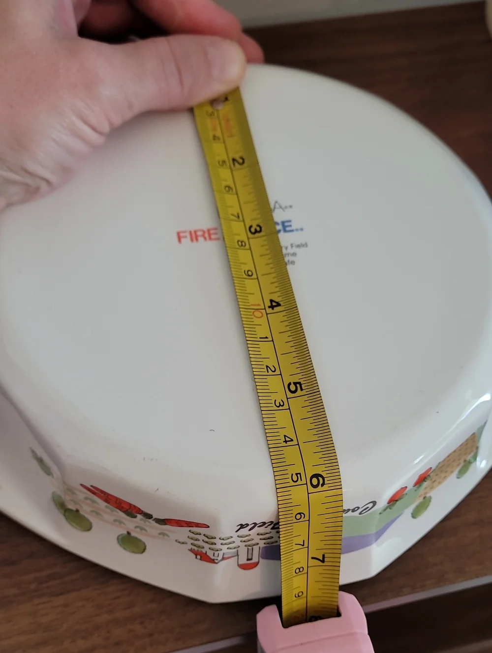 Vintage Mikasa Fire & Ice Country Field Baking Dish AA007 Japan Casserole